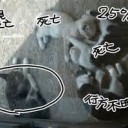 にんげんだけの・・・