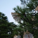青春ビートは16
