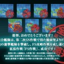 【2015夏イベ】Ｅ－７攻略　その２