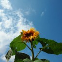 8月22日の日記