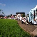 大分は鶴市祭りがありました(^^