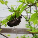 夏の名残り