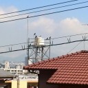 もう後５分♪　もう後１日♪