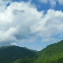 一度完全に離れたほうがいいのかも