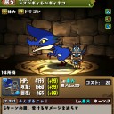 【パズドラ】やっとゲット