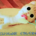 かわいい・・・