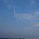 満月とうさぎさん