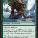 《Woodland Wanderer》
