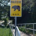 ブラタモリin仙台のようにブラブラと