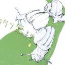 急げと言われた気がして急いだカタツムリたち