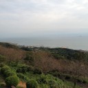 竜王山公園に散歩してきた＆白日の下に