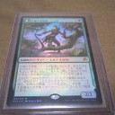 今日のGet品