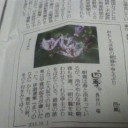 冬の住所は……!?