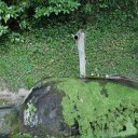おやすみしたいの。