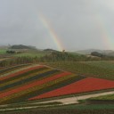 秋の北の大地へ
