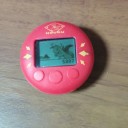 ポケモン万歩計＿週末は連休？月曜は仕事でした