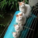 不安