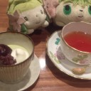 人外認定されるお茶会とシェイミ