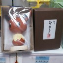 ポケモンセンター名古屋＿ちょっとだけプレバトル＿20151018