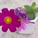 芋掘り行ってきたどぉ～！