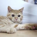 さいきんの・・・