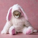 うさぎさん