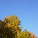 人生でこんなうららかで空気の美味しい日がもう一度あるとは思わなかった…♪へ(^o^ヘ)(ノ^o^)ノ♪