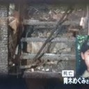 はんざい・・・