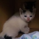 うろうろ・・・