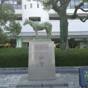 【菊花賞】現地観戦