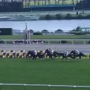 【菊花賞】現地観戦