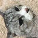 復活～(^з^)-♡