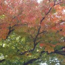 夢が形になるその日まで