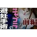 ぼーいふれんどを・・・