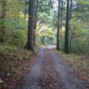 箱根