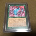 なんて日だ！！…今日のGet品
