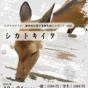 ひびきののりと　電子音楽奉納コンサート vol. 2　シカトキイタ＠瑜伽神社～松本威展＠ギャラリー勇斎～奈良町からくりおもちゃ館～小仏塔の世界＠元興寺