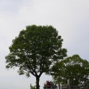 最後もやっぱり君