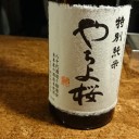特別純米 やちよ桜
