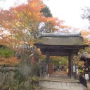 紅葉を求めて長寿寺へ！