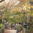 紅葉を求めて長寿寺へ！