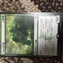 10パック目『うねる塔甲羅』