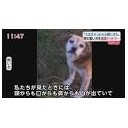 １５さいの・・・