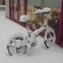 イキナリこの積雪量はフェイント…ヽ（・＿・；）ノ