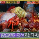 ヤドカリは賢いナァ～！！