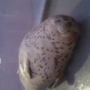 言えないコト