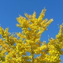 来年は頑張るぞって思ってる