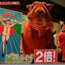 外国人が注目！！驚きの遊び心の技＆人気者うさぎ支配人！