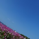 踏ん張りどき