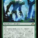 森林の始原体、新旧比較